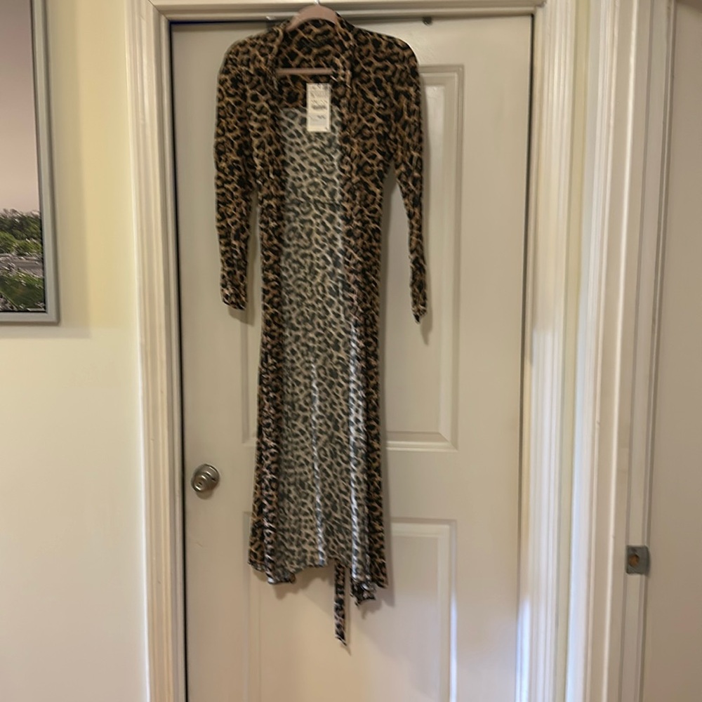 Leopard Zara Dress